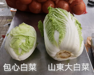 [蔬菜小教室] 蔬菜之王－大白菜