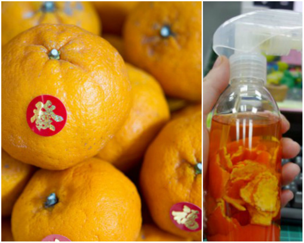 「柑」淨俐落，橘子皮再利用！橘子清潔劑DIY