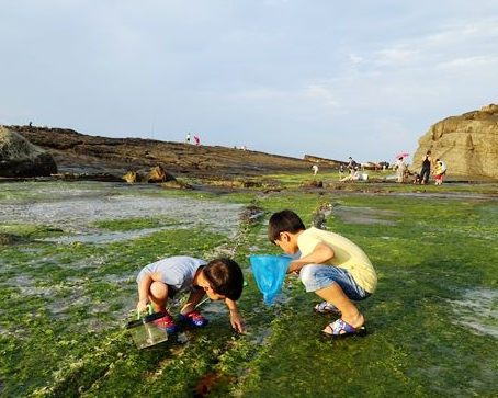 玩水抓螃蟹、拜訪海豹岩，秘境海岸樂趣多～基隆大坪海岸