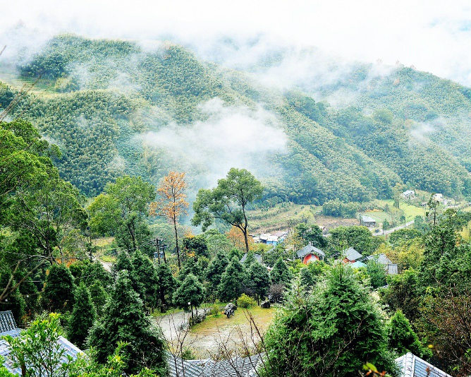 看山景、深呼吸，與大自然百分百貼近～新竹尖石櫻花谷露營區