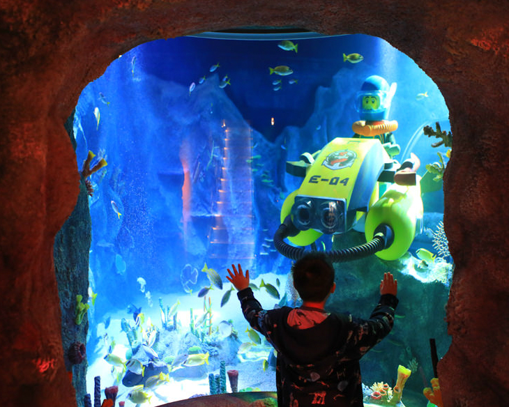 樂高×水族館，探索水中生物更有趣～名古屋SEA LIFE Nagoya