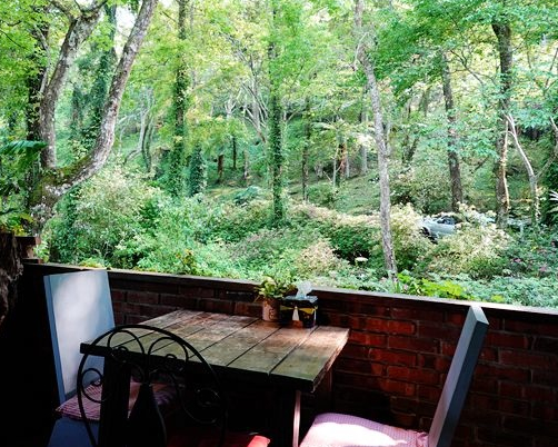 森林風下午茶，慵懶露營也可以～新竹6號花園
