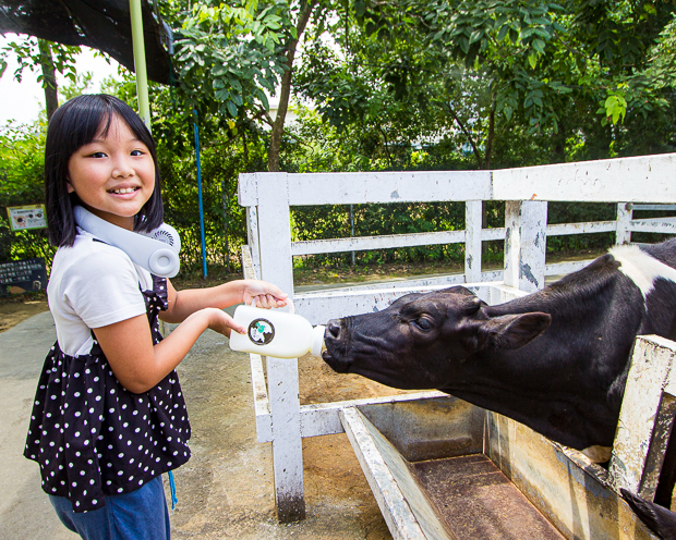 大罐ㄋㄟㄋㄟ超給力，門票銅板價小動物餵好餵滿～台南樹谷農場