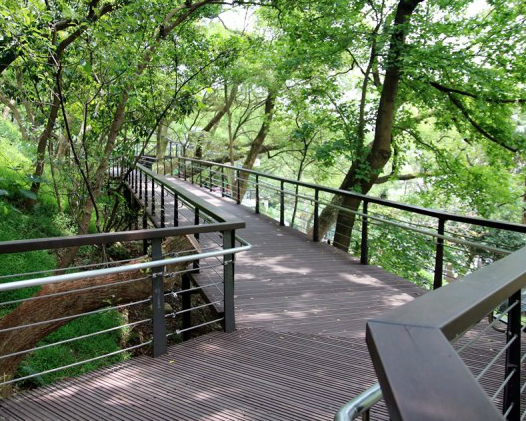 夏日散步好去處，全齡森林木棧步道～桃園虎頭山公園