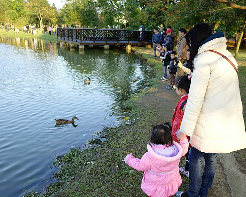 可散步可餵魚親子半日遊好去處～桃園八德埤塘自然生態公園	