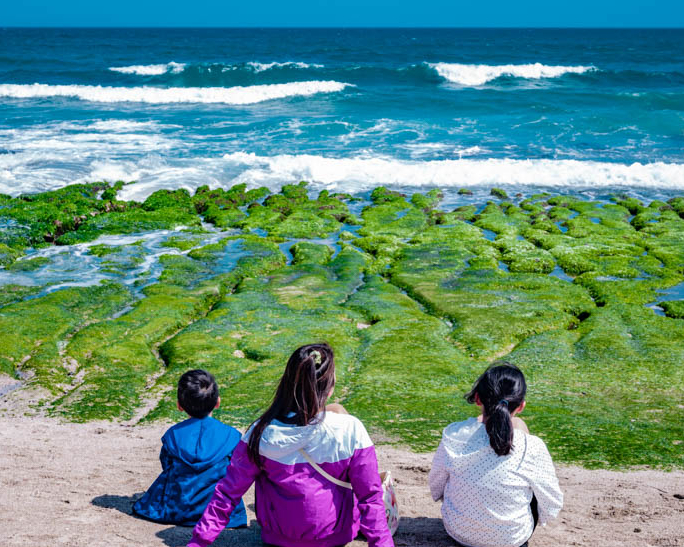 春季限定，鮮綠海岸×蔚藍波濤交織～石門老梅綠石槽