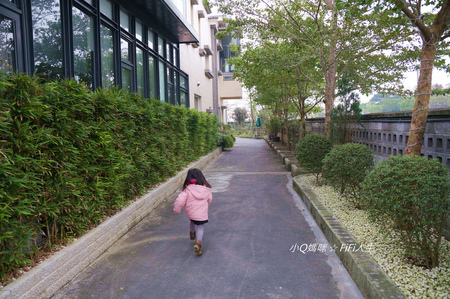 DSC07390.jpg