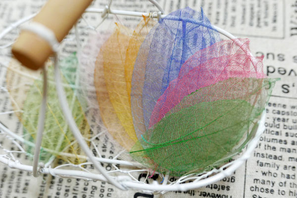 洗洗刷刷，自己做葉脈書籤、葉脈蠟燭、葉脈鏡子～ - 動手DIY - KidsPlay …