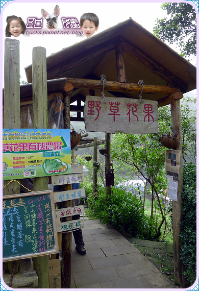 野草花果有機農場 景點 親子旅遊 Kidsplay親子就醬玩 野草花果有機農場 景點 親子旅遊 Kidsplay親子就醬玩