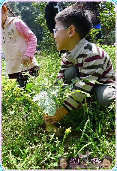 野草花果有機農場 景點 親子旅遊 Kidsplay親子就醬玩