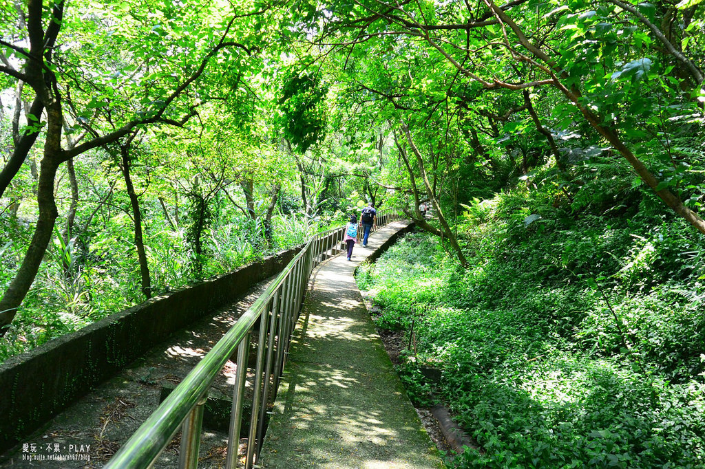 安坑秘境林蔭小徑 土城將軍嶺步道 景點 親子旅遊 Kidsplay親子就醬玩