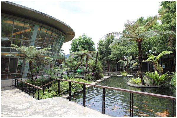 五感的饗宴 視野遼闊無邊綠意的台東原生應用植物園 景點 親子旅遊 Kidsplay親子就醬玩