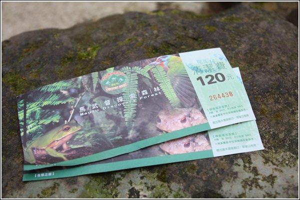 馬武督探索森林 享受森林芬多精 景點 親子旅遊 Kidsplay親子就醬玩