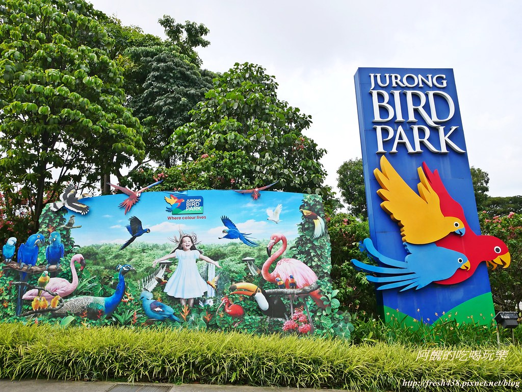 與鸚鵡共餐 飛禽齊聚大開眼界 新加坡jurong Bird Park 景點 親子旅遊 Kidsplay親子就醬玩 與鸚鵡共餐 飛禽齊聚大開眼界 新加坡jurong Bird Park 景點 親子旅遊 Kidsplay親子就醬玩