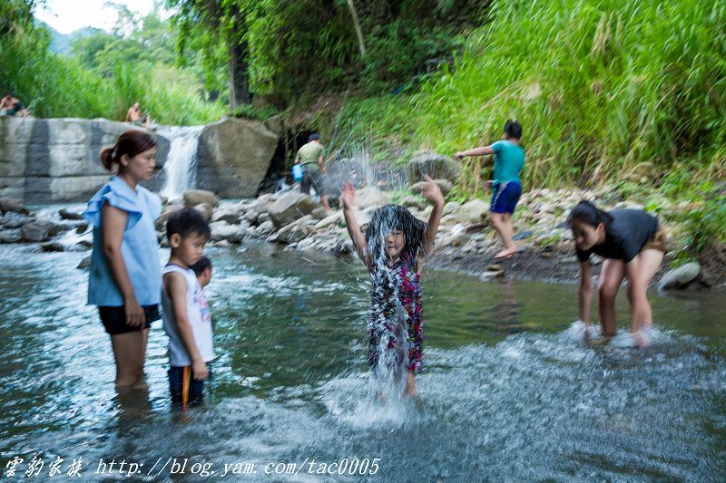 戲水 溯溪 抓蝦趣 盛夏消暑露營地 南投新月生態農場 景點 親子旅遊 Kidsplay親子就醬玩