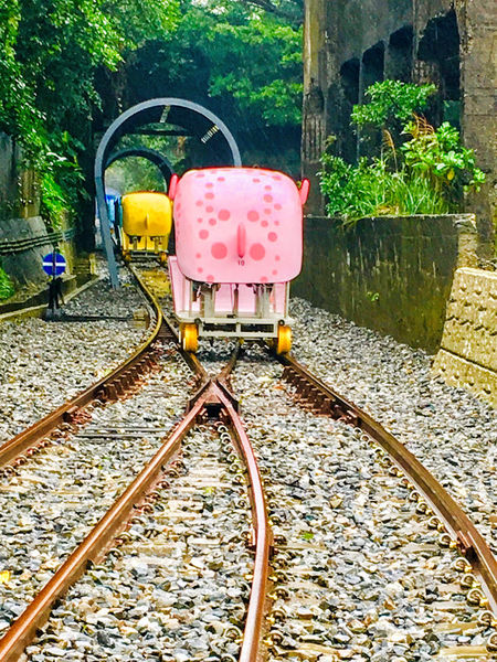 可爱河豚带你骑乘浪漫山海线～新北深澳铁道自行车