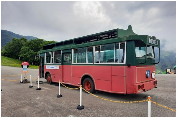 滑車 经济型电动滑台钢制长行程盖板型XZ轴重复定位精度±1μ_XYZ轴自动滑台-米