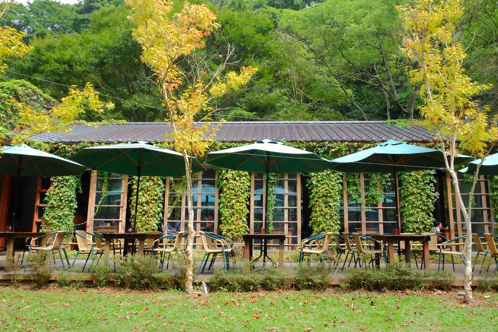 大片草地 湖畔美景,世外桃源森林系餐厅～苗栗绿叶方舟