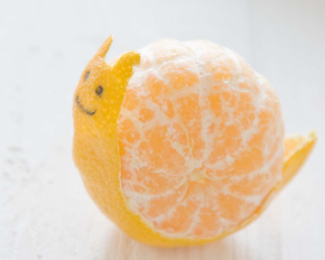 可愛橘子動物