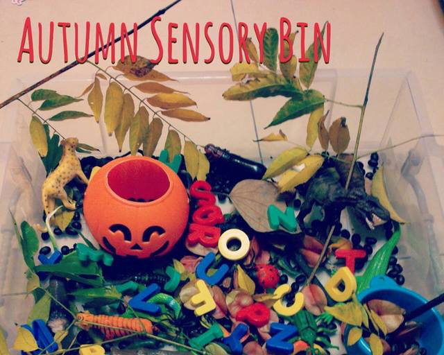 認識秋天Sensory Play