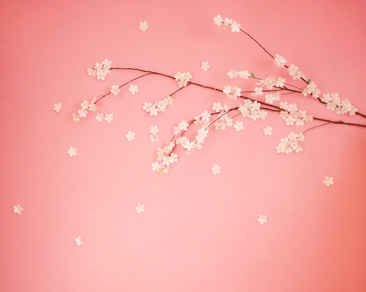 春意盎然DIY，在家裡變出一棵櫻花樹～