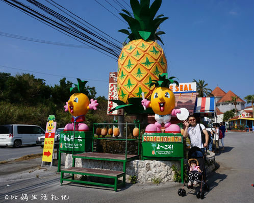 日本沖繩親子遊：名護鳳梨公園、名護自然動植物公園