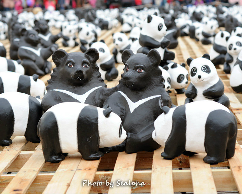 1600貓熊世界之旅-台北