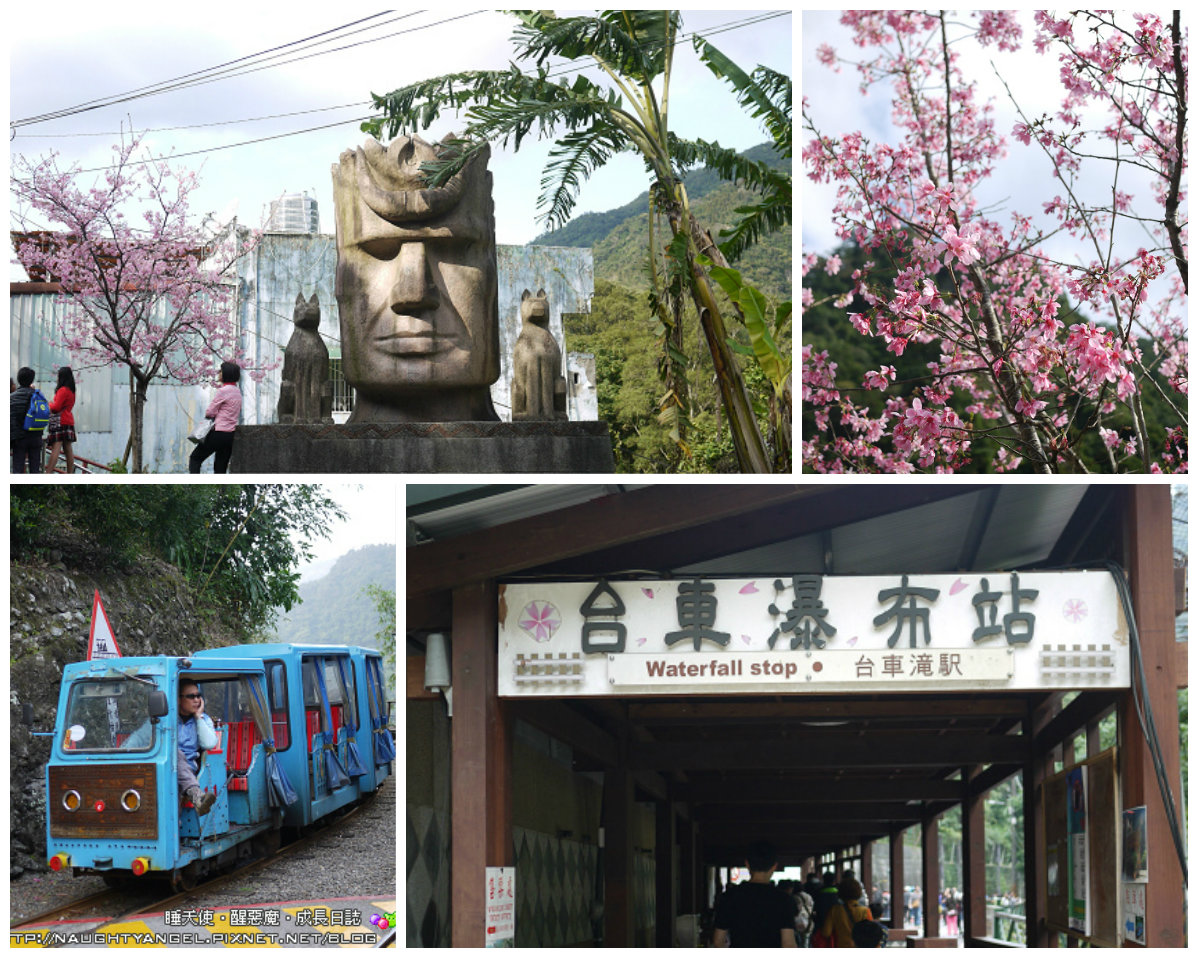 纜車、台車、泡湯、賞櫻，一次通通來～烏來一日親子遊