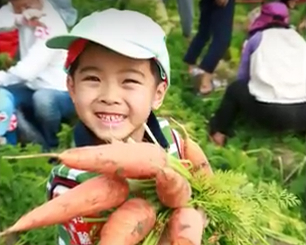 2018親子寒假農村體驗！拔紅蘿蔔、挖地瓜、焢窯、烤肉，開始報名囉～