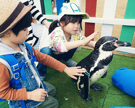 近距離接觸的海底世界～九州長崎企鵝水族館