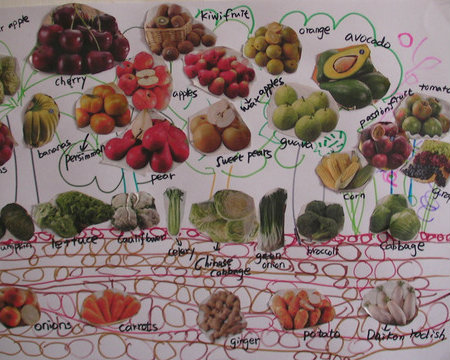 親子學習單DIY: 蔬果分類表