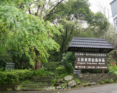 美食、綠氧、溫泉，亞熱帶雨林的世外桃源～三峽大板根森林溫泉渡假村