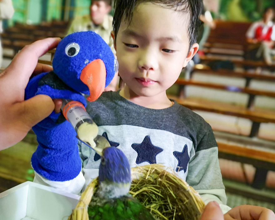 鳥飛飛保育員，觀察雞蛋、餵食雛鳥新體驗～新竹六福莊