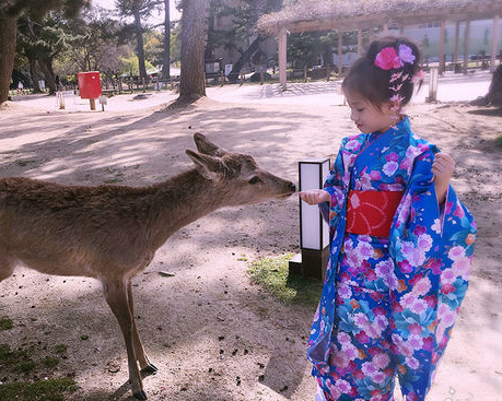 小公主與小鹿斑比，相約古都散策～日本奈良公園