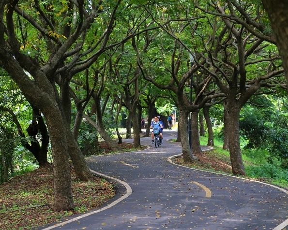 優雅S形天堂之路，單車穿梭蔥郁林蔭～台中潭雅神綠園道