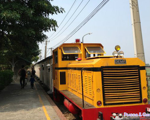 搭五分車賞花趣！橋頭糖廠、花卉農園中心半日遊