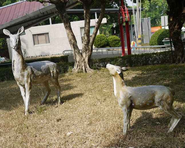 歷經921地震，浩劫重生的活力小學～台中復興國民小學