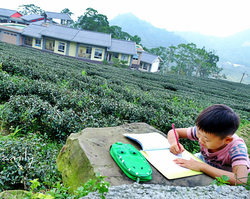 大自然就是教室！茶園中的糖果森林小學～雲林樟湖生態國民中小學