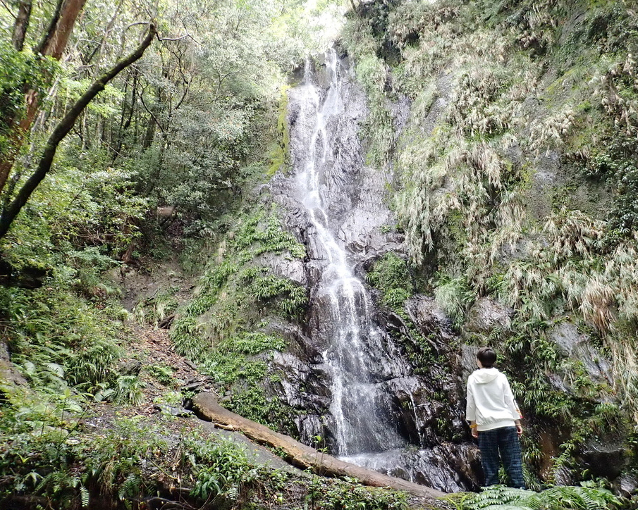 豐水期氣勢磅礡、枯水期小家碧玉，隱身山谷間的雙面佳人～新竹司馬庫斯司立富瀑布