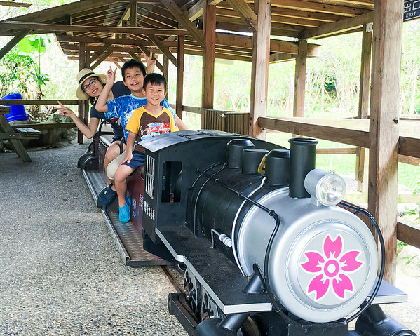 冬天賞櫻、夏天戲水、四季賞鸚鵡，還有超帶感森林小火車～台中櫻花鳥森林