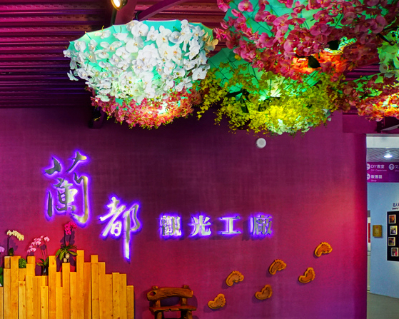 能保養、能清潔，美麗又有內涵的蝴蝶蘭～台南蘭都觀光工廠