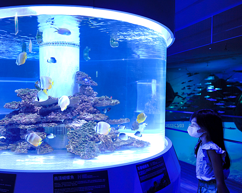沈浸式海洋體驗，萌萌海豹陪你玩～基隆潮境智能海洋館