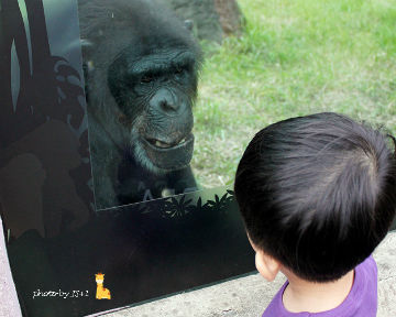 臺北市立動物園