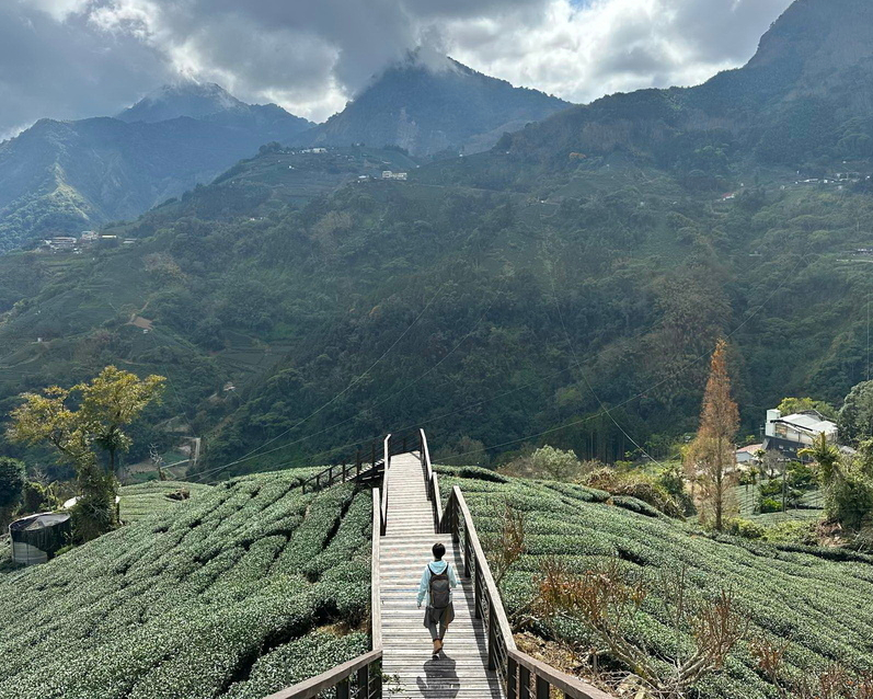 漫步茶園地毯，遼闊美景盡收眼底～嘉義大風埕觀日峰＋油車寮步道