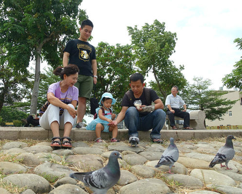 餵魚、餵鴿，一同體驗悠閒的步調～台中新都生態公園