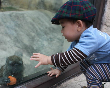 去高雄壽山動物園看動物，玩親水廣場！