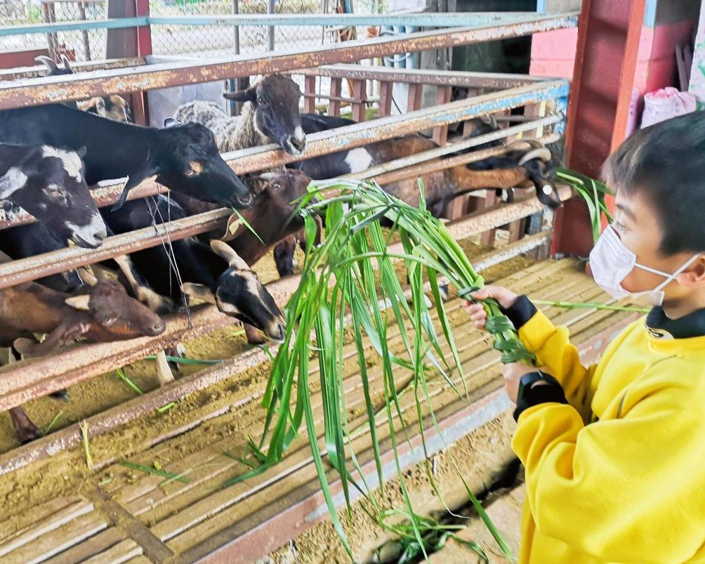 從植物到動物、從昆蟲類到哺乳類，一日生態遊～宜蘭橫山頭休閒農業區