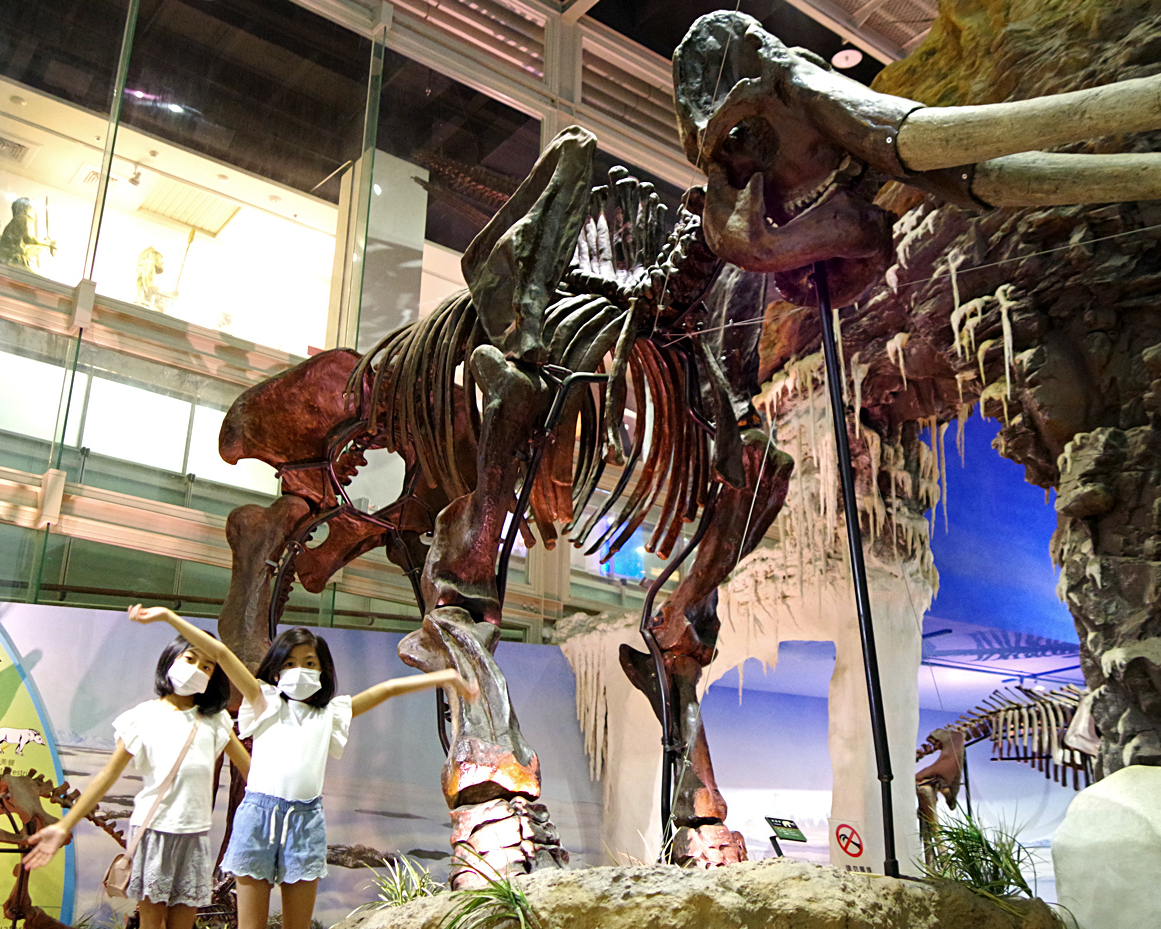 入館只要銅板價，長毛象骨骼標本超震撼～台南樹谷生活科學館