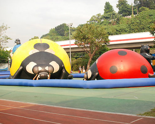 明倫創造力學園。校舍變昆蟲樂園