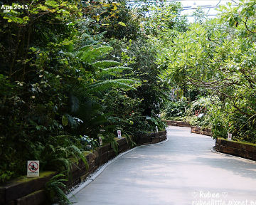 未來館-花博公園